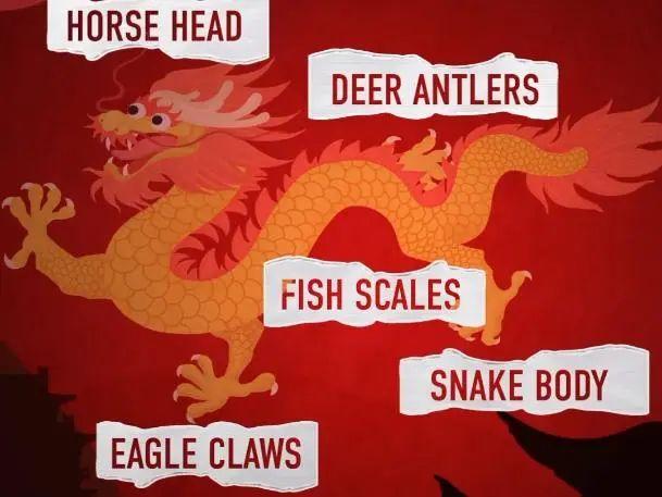 loong和dragon区别_loong_loong怎么读