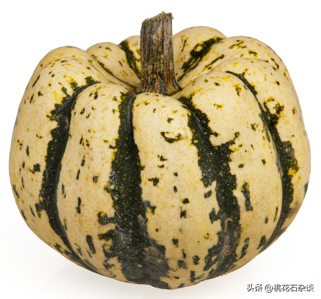 loong_loong可以当名字吗_vg上单loong