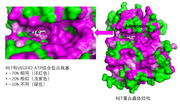 rearrange的中文意思_rearranged翻译_rearranged