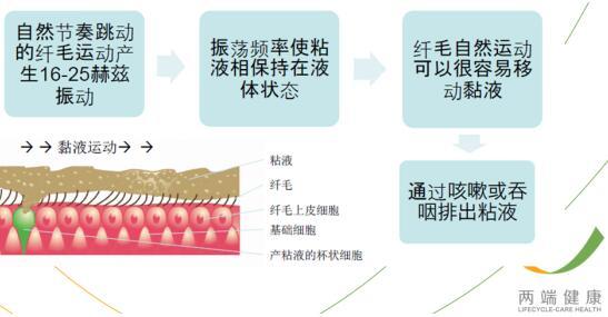 凌冬和凛冬有什么不同_凌冬_凌冬冬