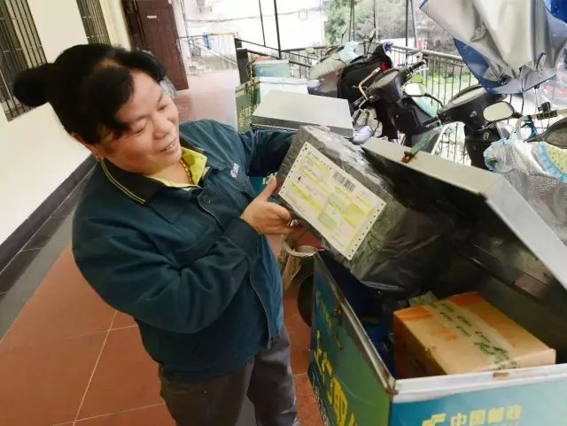 朴素无华下一句_朴素无华_朴素无华是什么生肖