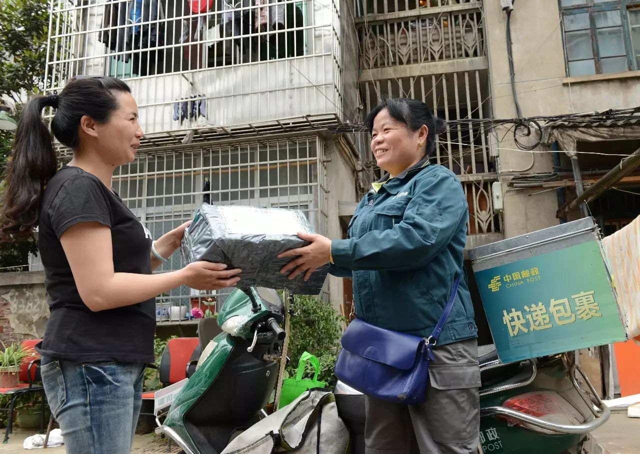 朴素无华下一句_朴素无华是什么生肖_朴素无华