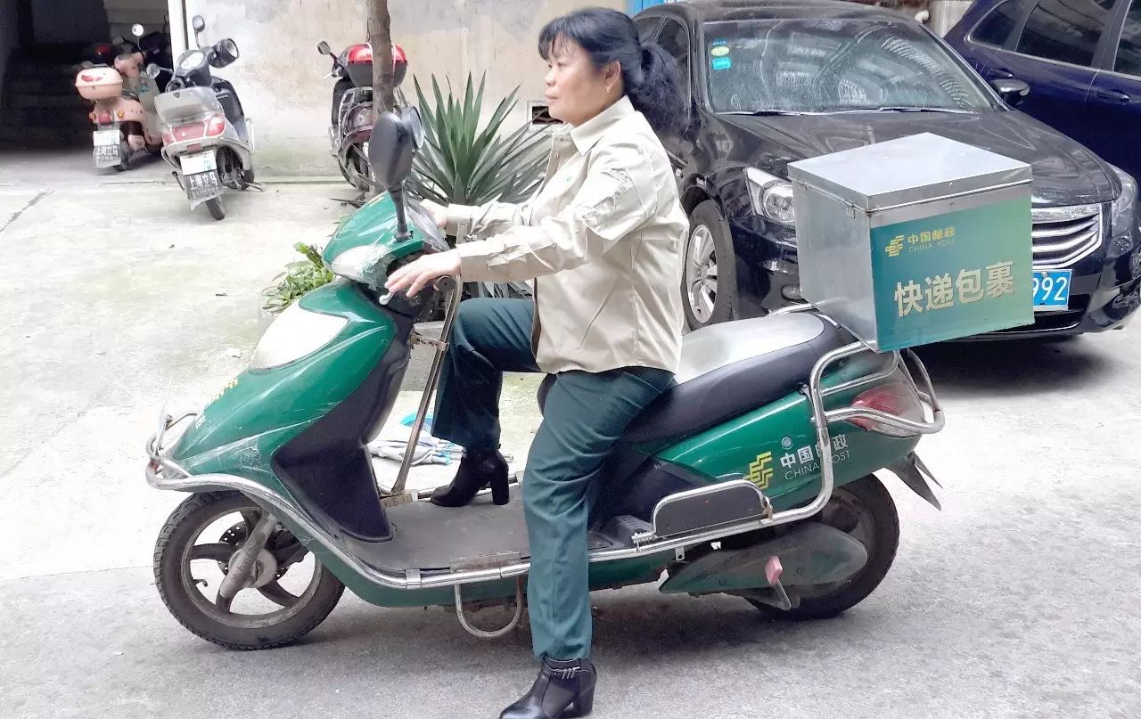 朴素无华是什么生肖_朴素无华下一句_朴素无华