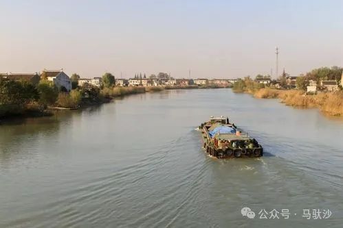 有龙则灵是哪首诗_龙则灵名字_有龙则灵