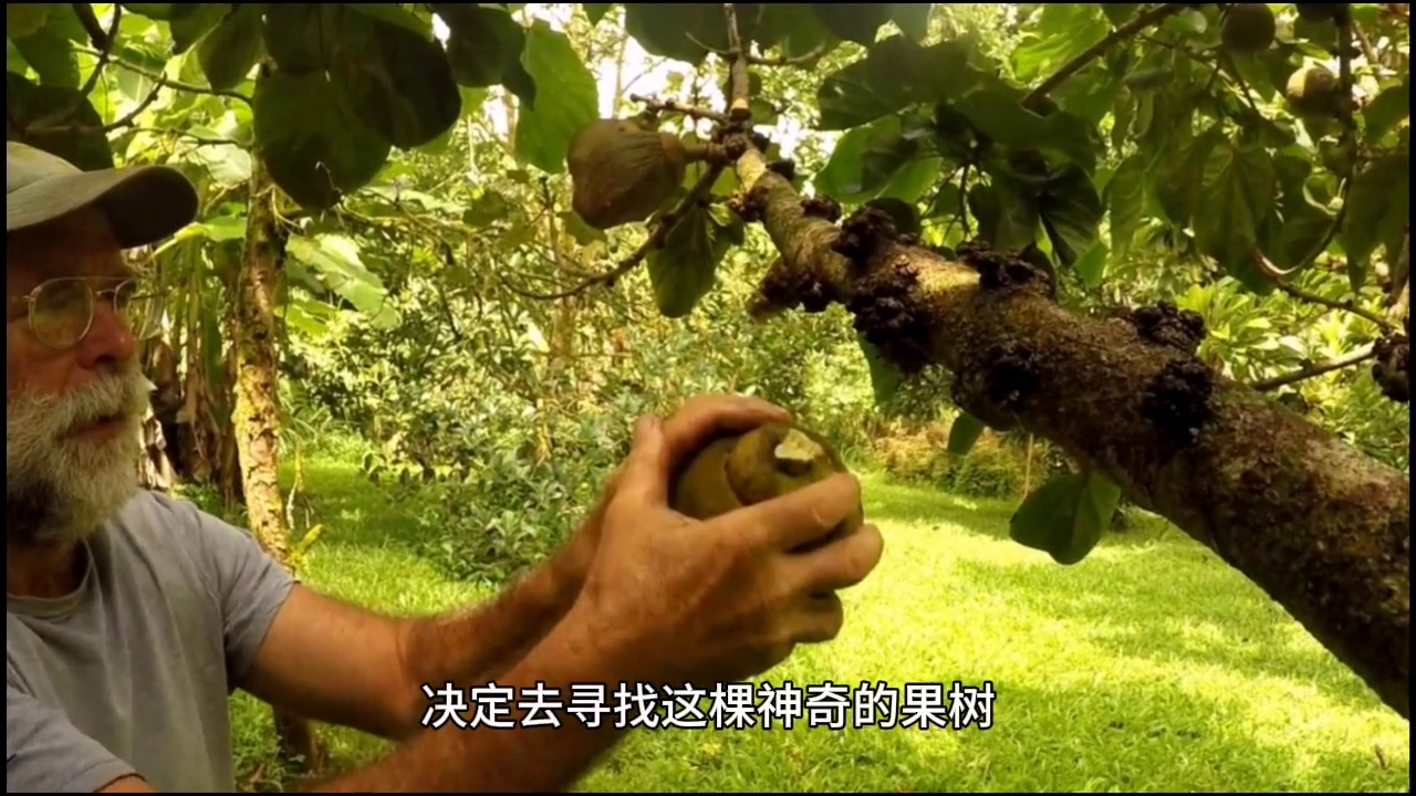 天下奇事_世界奇事_奇事