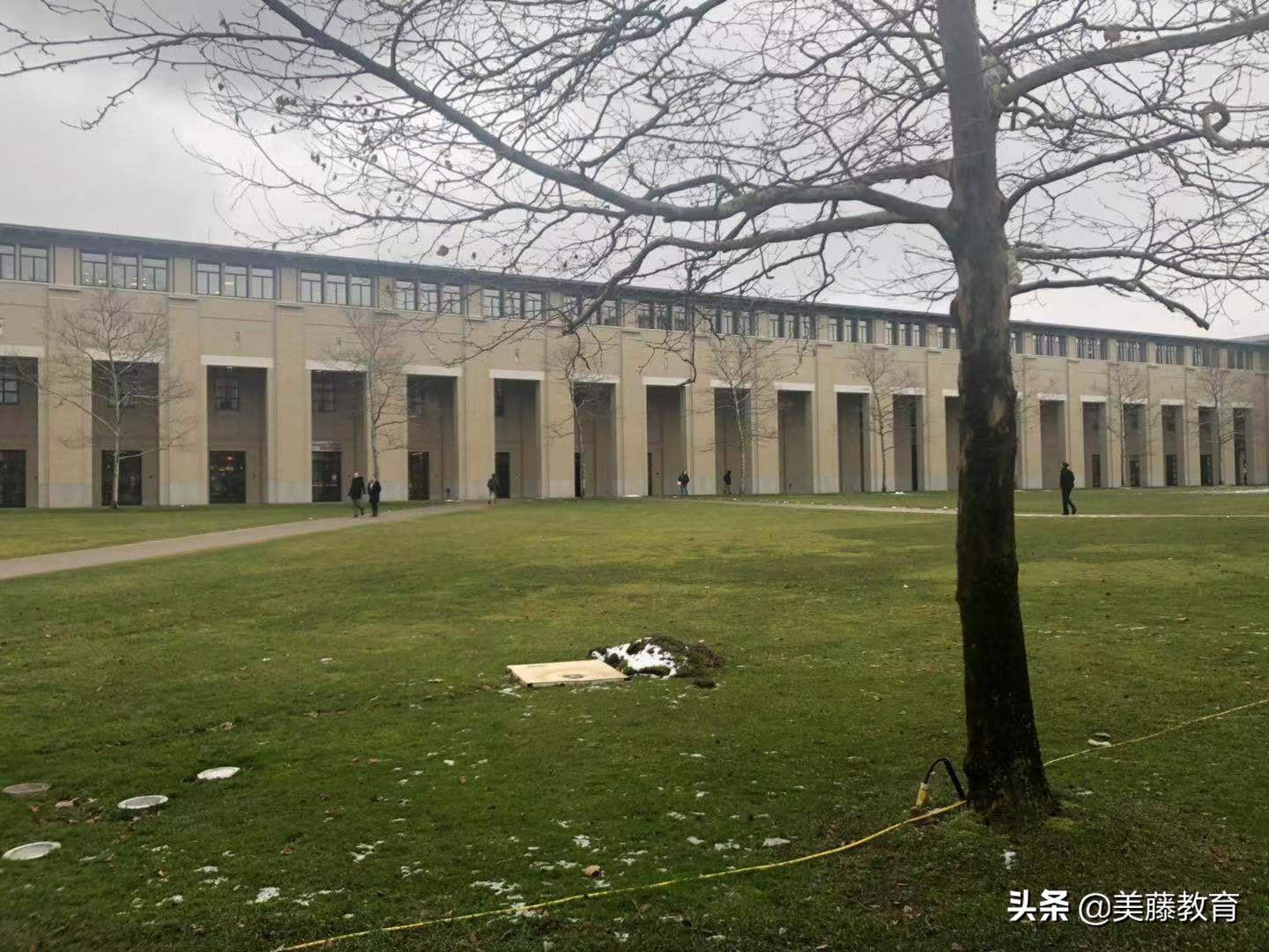 det_detector探测器怎么用_dettol滴露消毒液