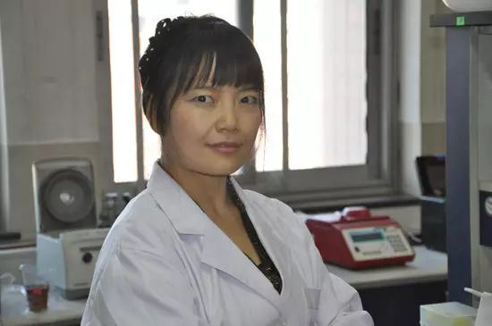 无人入境的意思_如入无人之境_如入无人之境中境是什么意思