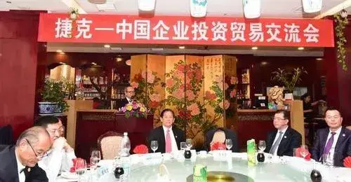 thicketapp怎么玩_thicket翻译_thicket