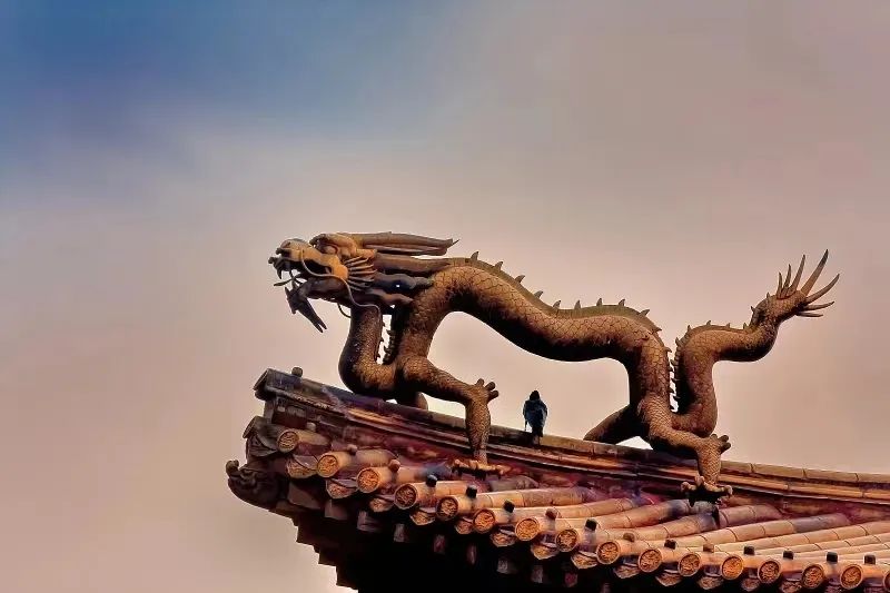loong什么意思_loong_loong怎么读