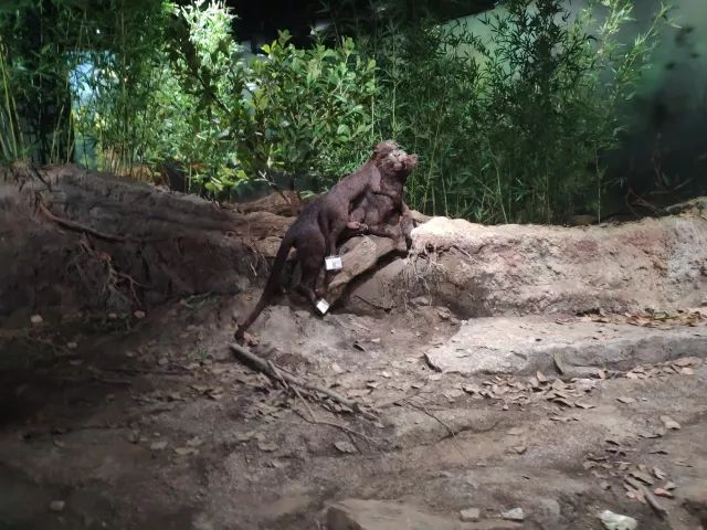 趁热_热射病_热搜