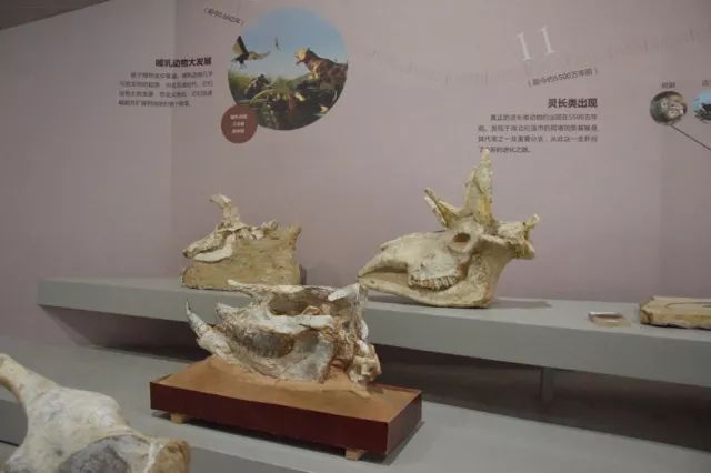 热射病_热搜_趁热