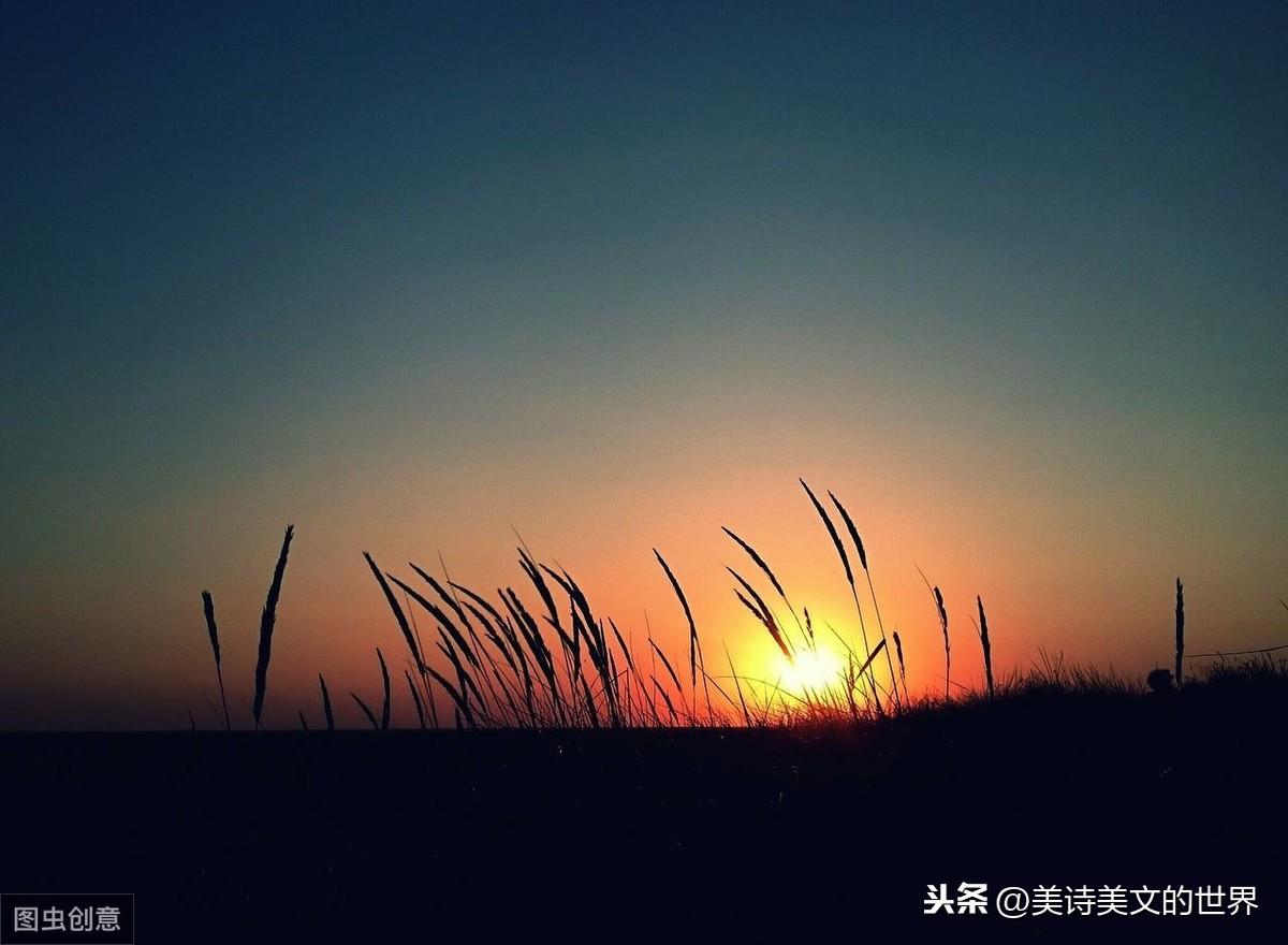 信手拈来典故出处_信手拈来上一句_信手拈来