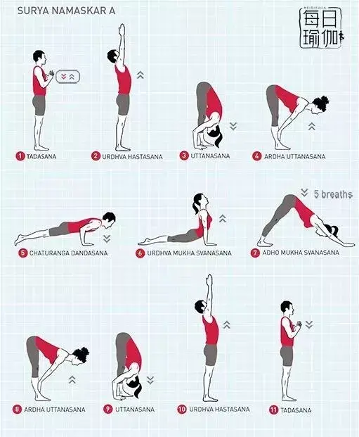 salutation_signature_salutations翻译