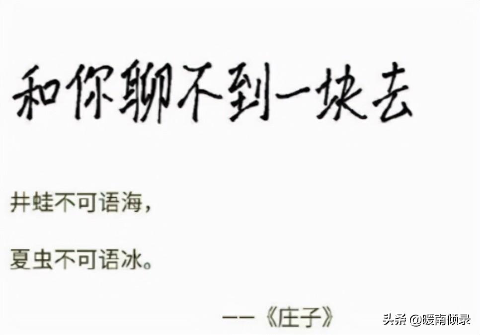 竖子不足与谋的足是什么意思_竖子不足谋也_竖子不足与谋