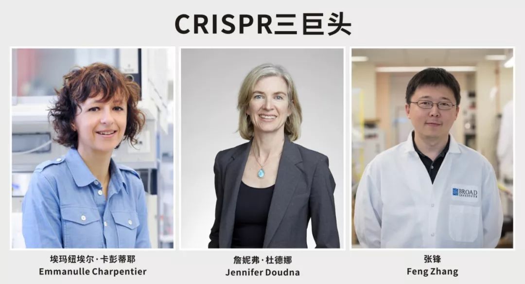genome什么意思_genomes翻译_genomes