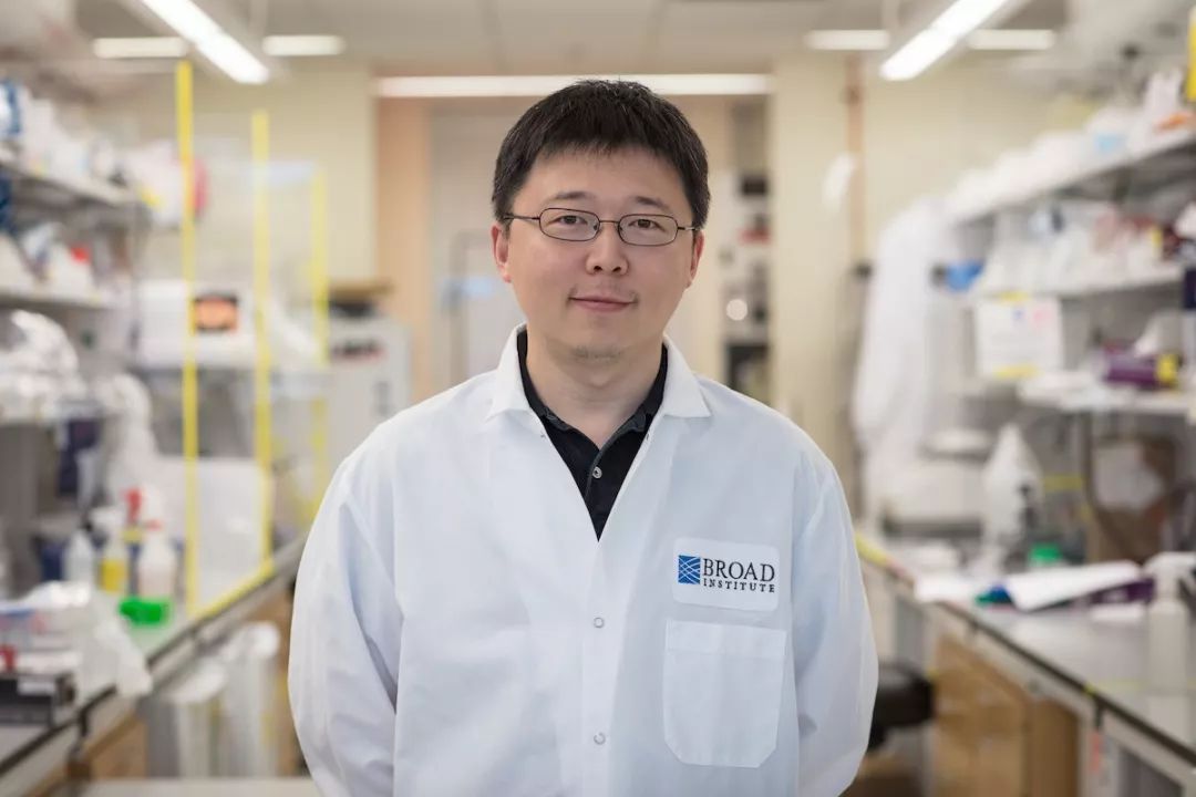 genomes翻译_genomes_genome什么意思