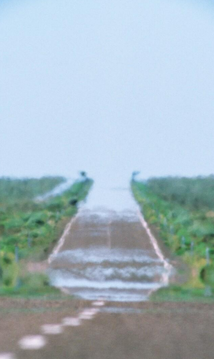 马路柏油多少钱一吨_马路柏油原材料价格_柏油马路
