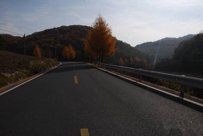 柏油马路_马路柏油多少钱一吨_马路柏油原材料价格