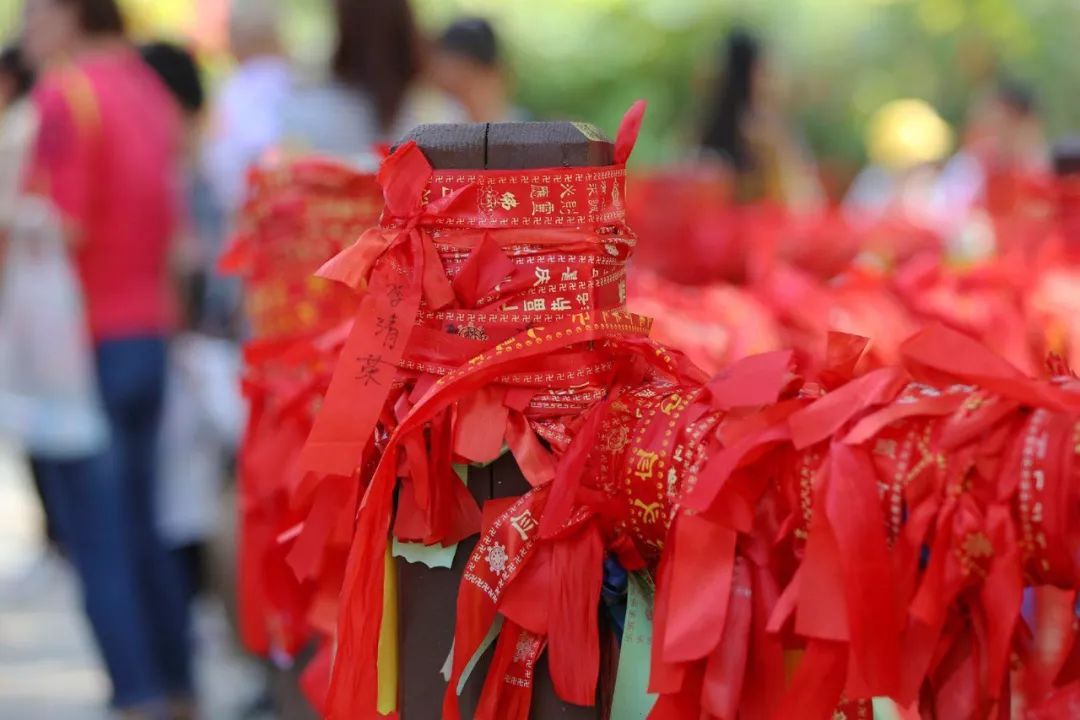 塔顶的英文_九顶塔_塔顶上的狗