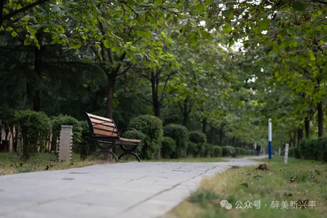 下里巴人_巴里什么_巴里怎么样