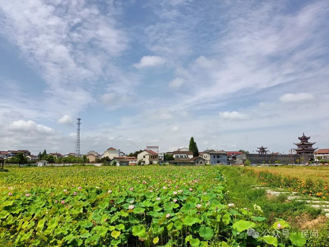 后世流芳什么意思_流芳后世_后世流芳的上一句是什么