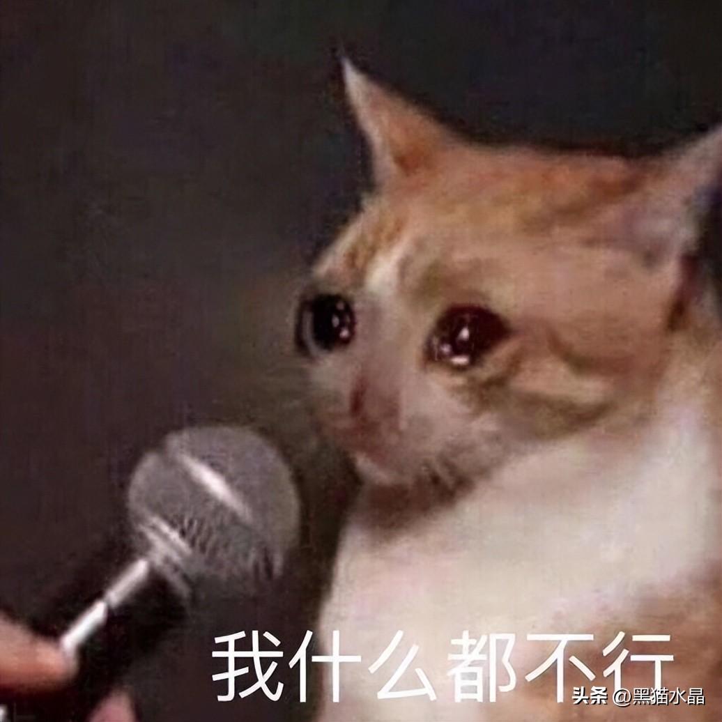 数组去重c语言_数组去重_数组去重js