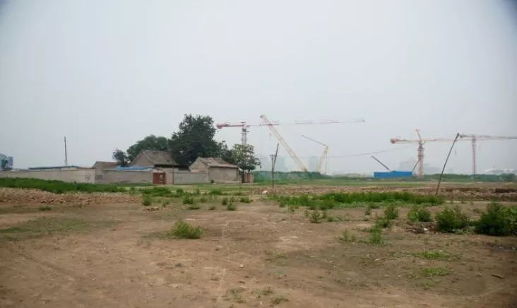 西海子公园的桥叫什么_西海子公园_海子公园西门