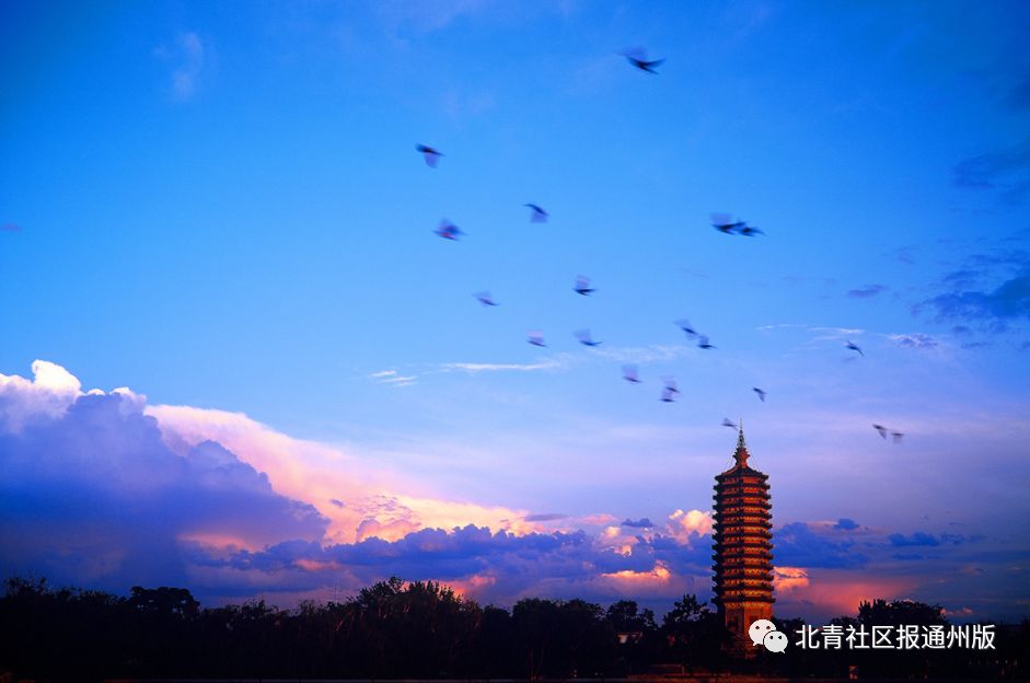 西海子公园_海子公园西门_西海子公园的桥叫什么