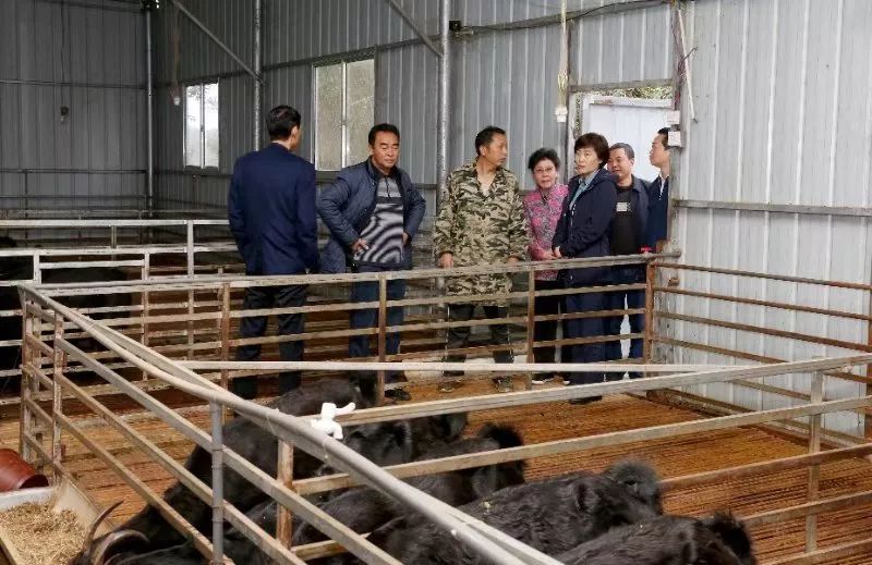 行香子_日行千里_行尸走肉