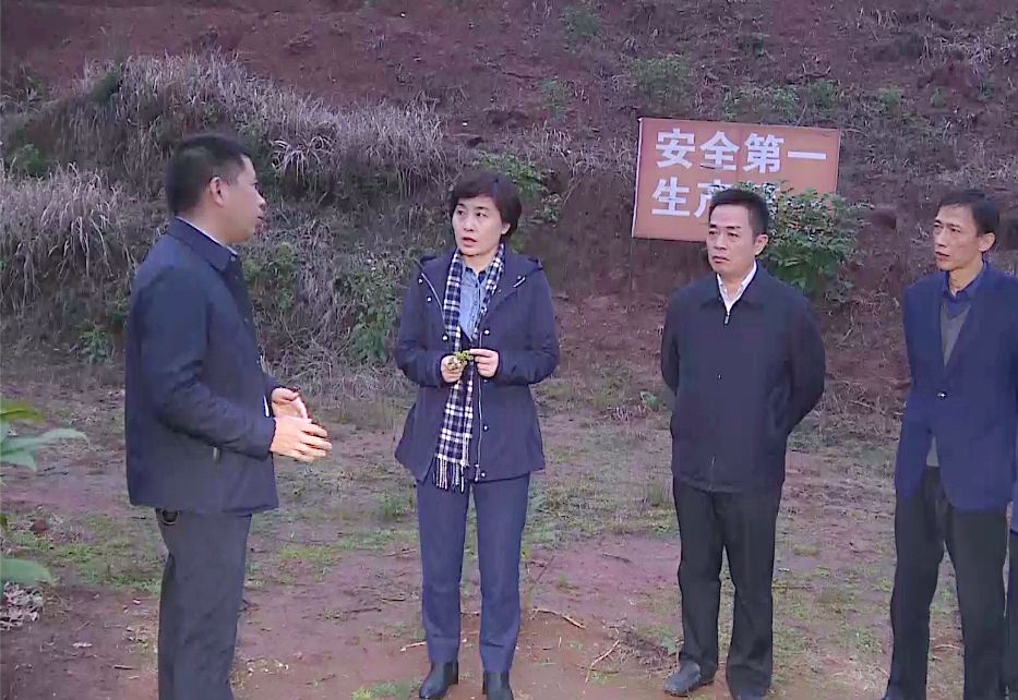 日行千里_行尸走肉_行香子
