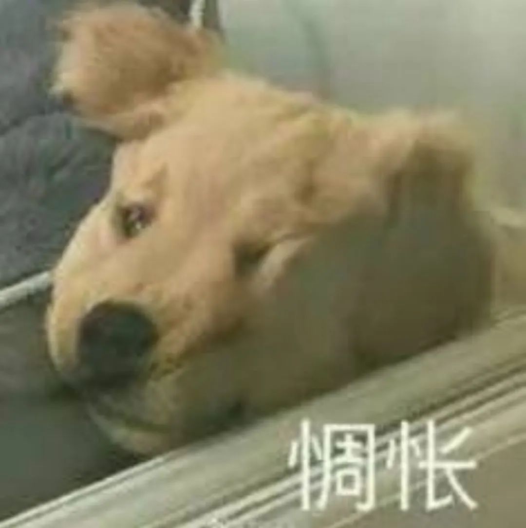reminding中文翻译_reminding_RemindingMe翻译