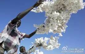商务参赞英语_商务参赞_商务参赞英文