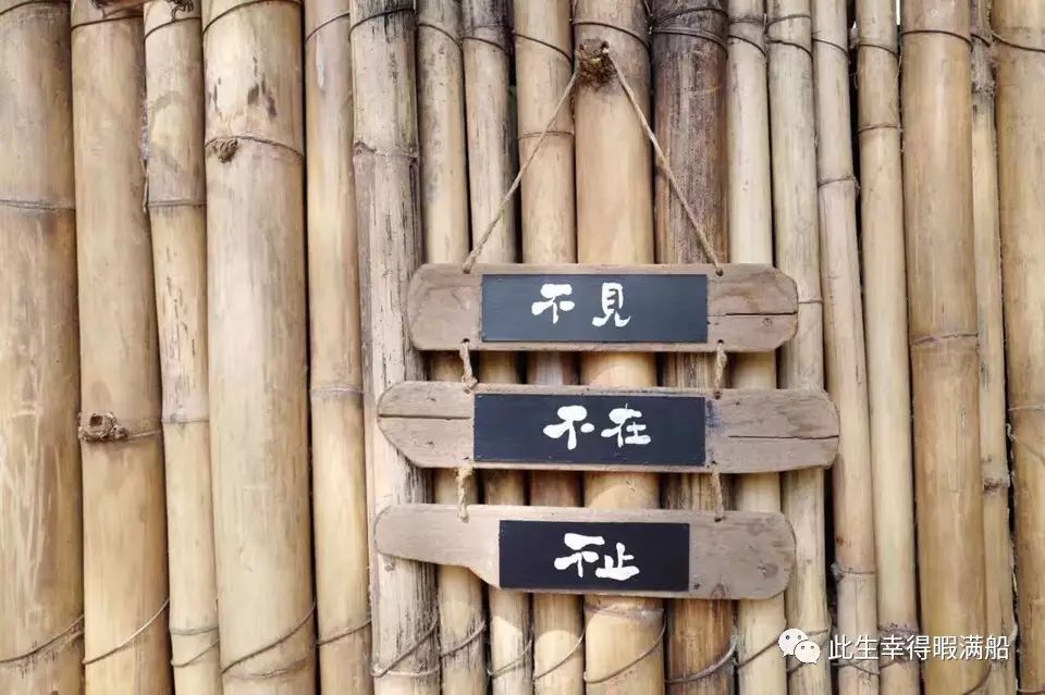 飒蜜_飒蜜是啥意思_大洋子是谁大飒蜜