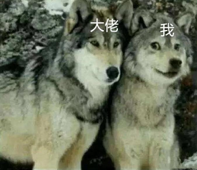 breeds_BREED是什么品牌衣服_BREED水滴轮哪里生产