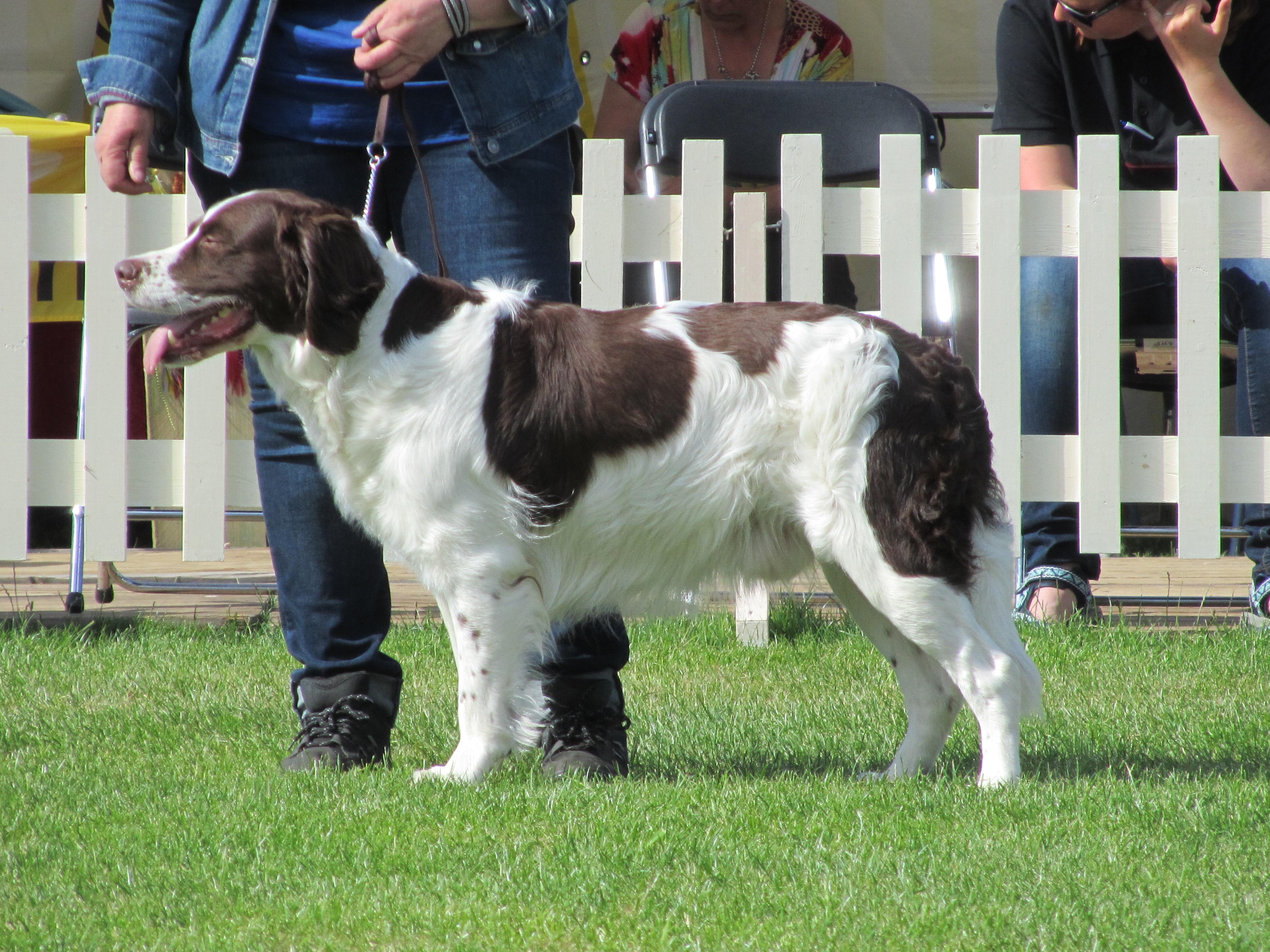 breeds_breeds什么意思_rebeccabreeds