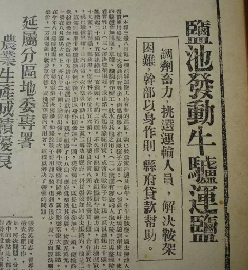 宁_宁_宁