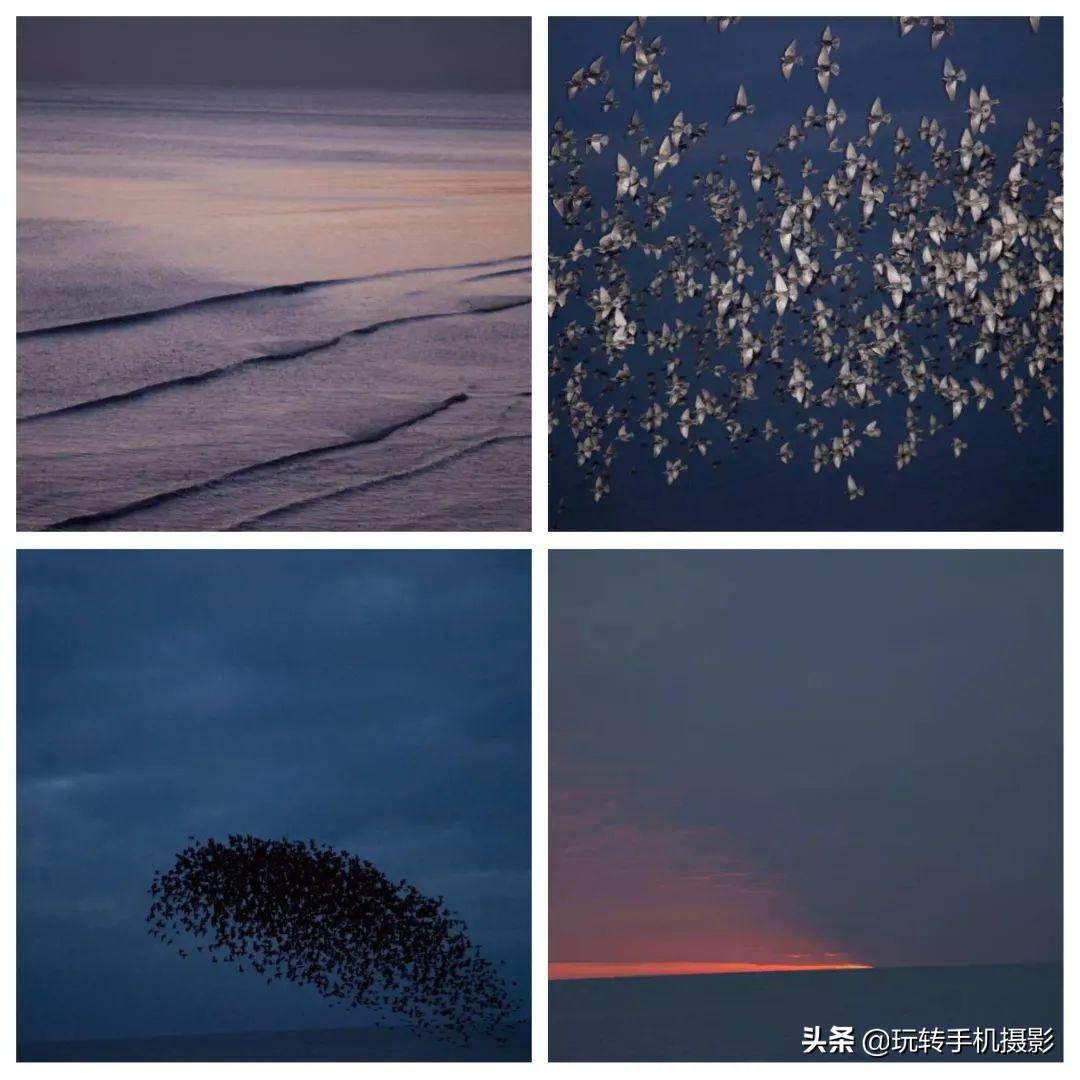 embrace短语_embrace的中文翻译_embraced