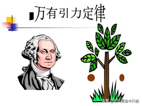 大白话_白话大全_白话大头虾是什么意思
