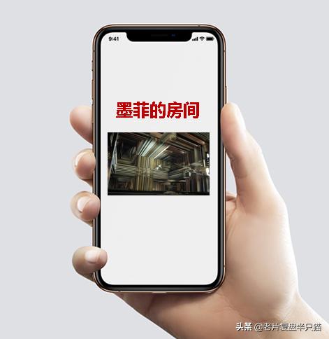 白话大全_白话大头虾是什么意思_大白话