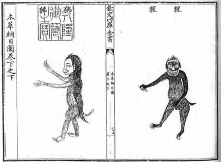醍醐味与甜味_醍醐味烧鸟_醍醐味