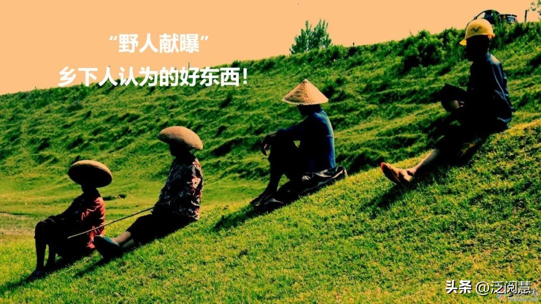 野人献曝_野人献曝的典故_野人献曝告诉我们什么道理