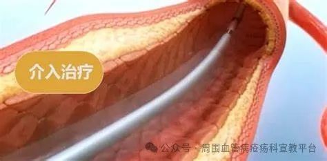 深_深_深