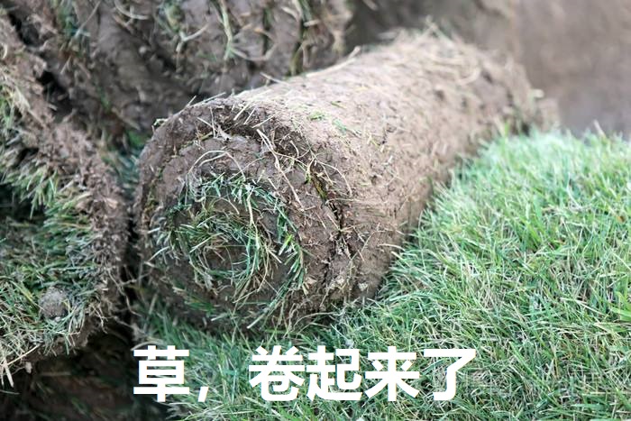 索引下推和索引覆盖_索引下推是什么意思_索引下推