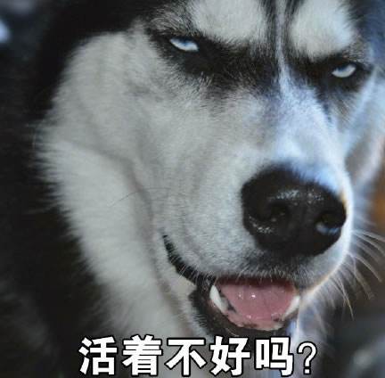 索引下推_索引下推和索引覆盖_索引下推是什么意思