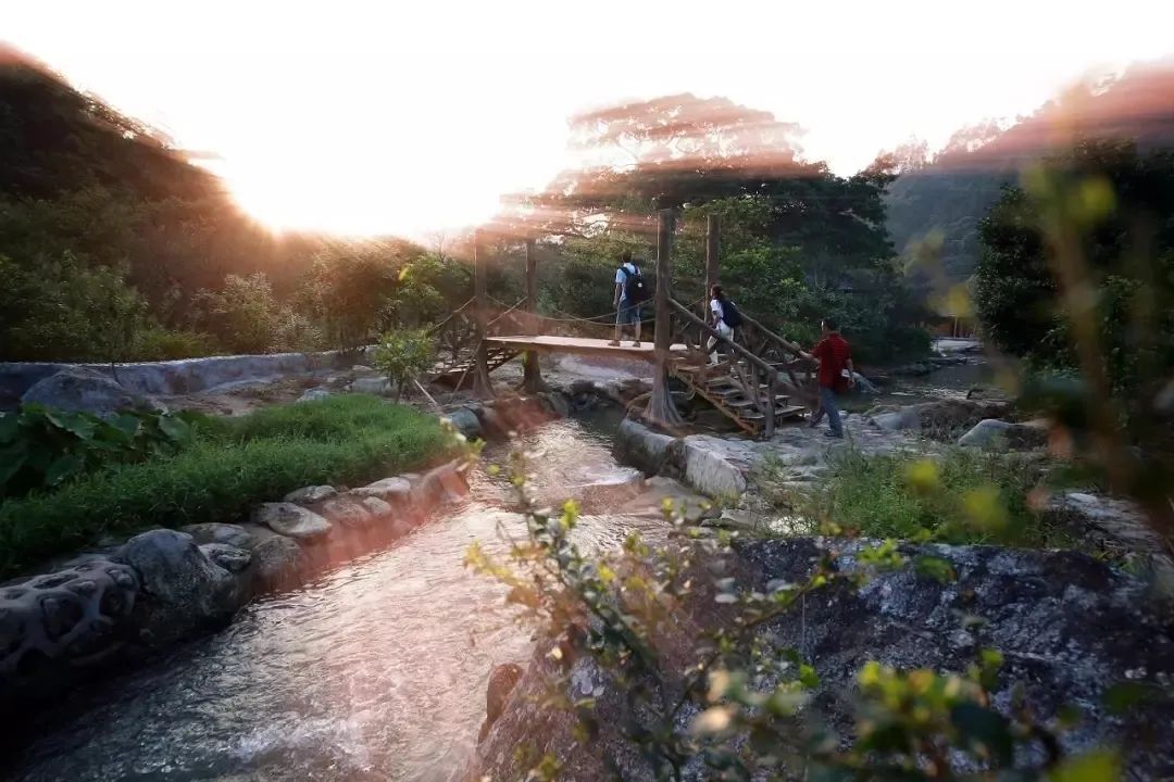 天露山_天露山_天露山