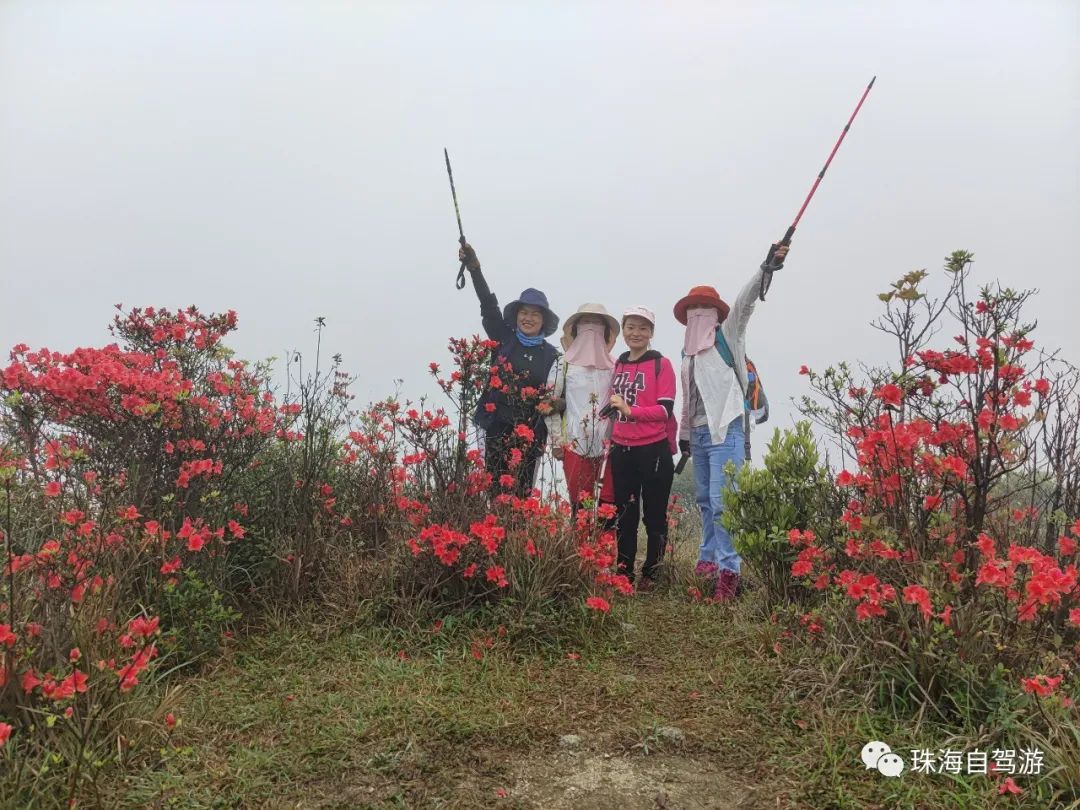 天露山_天露山_天露山