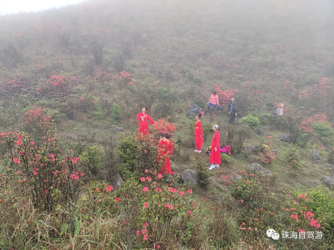 天露山_天露山_天露山