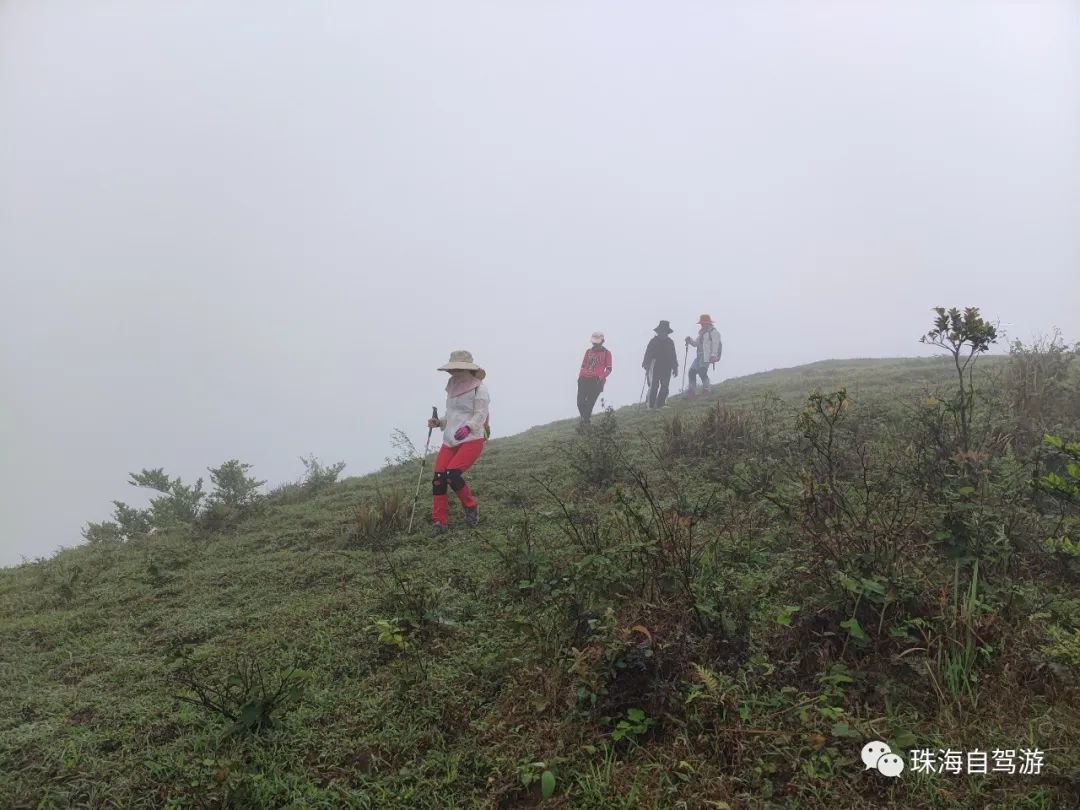 天露山_天露山_天露山