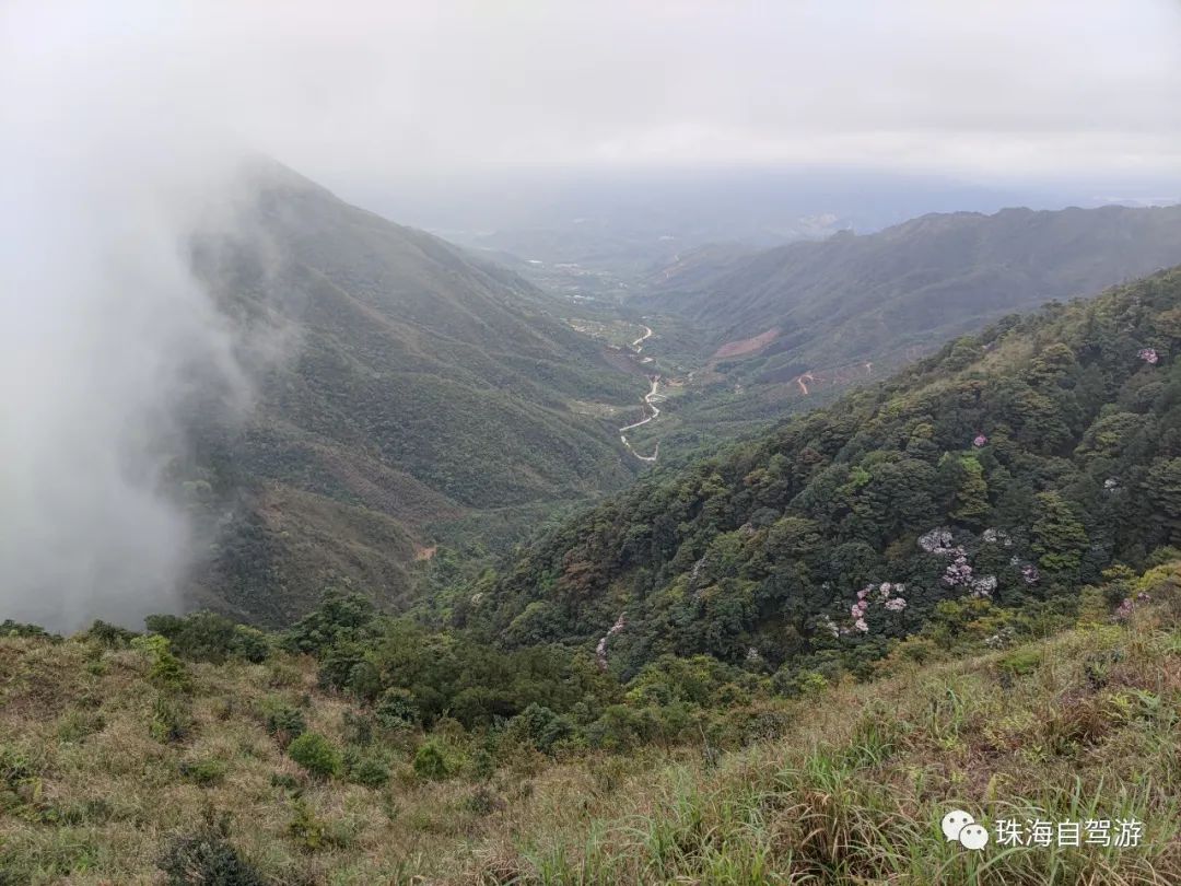 天露山_天露山_天露山