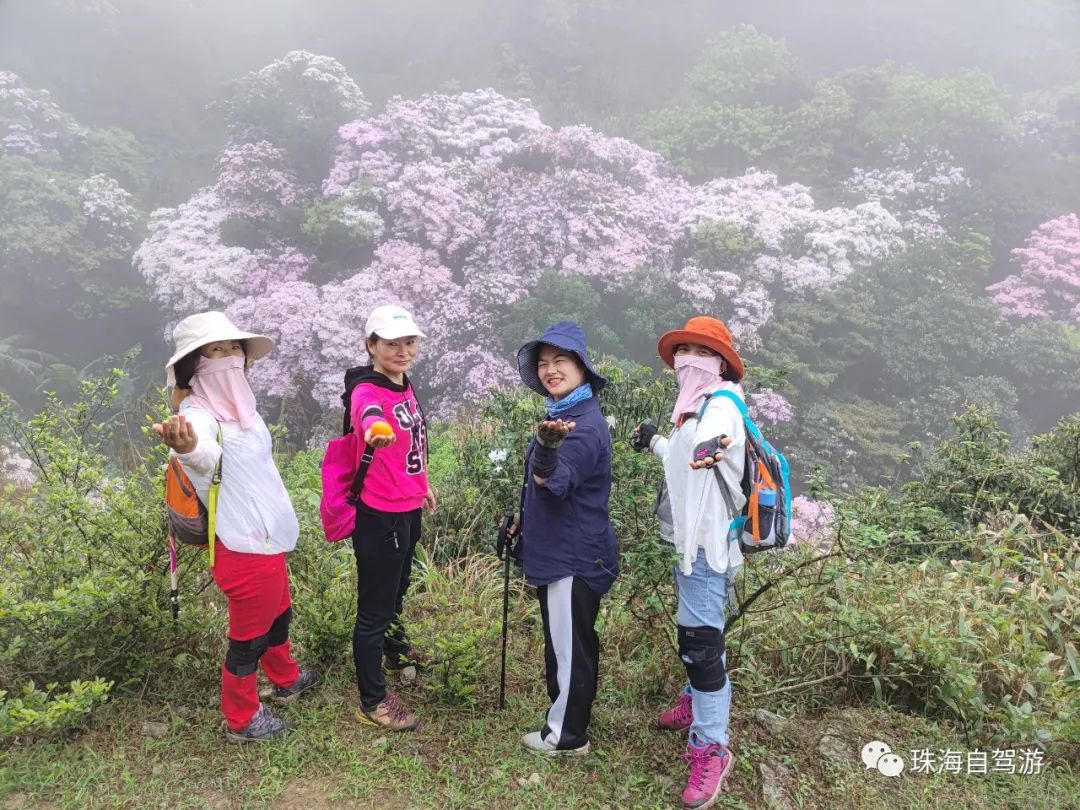 天露山_天露山_天露山
